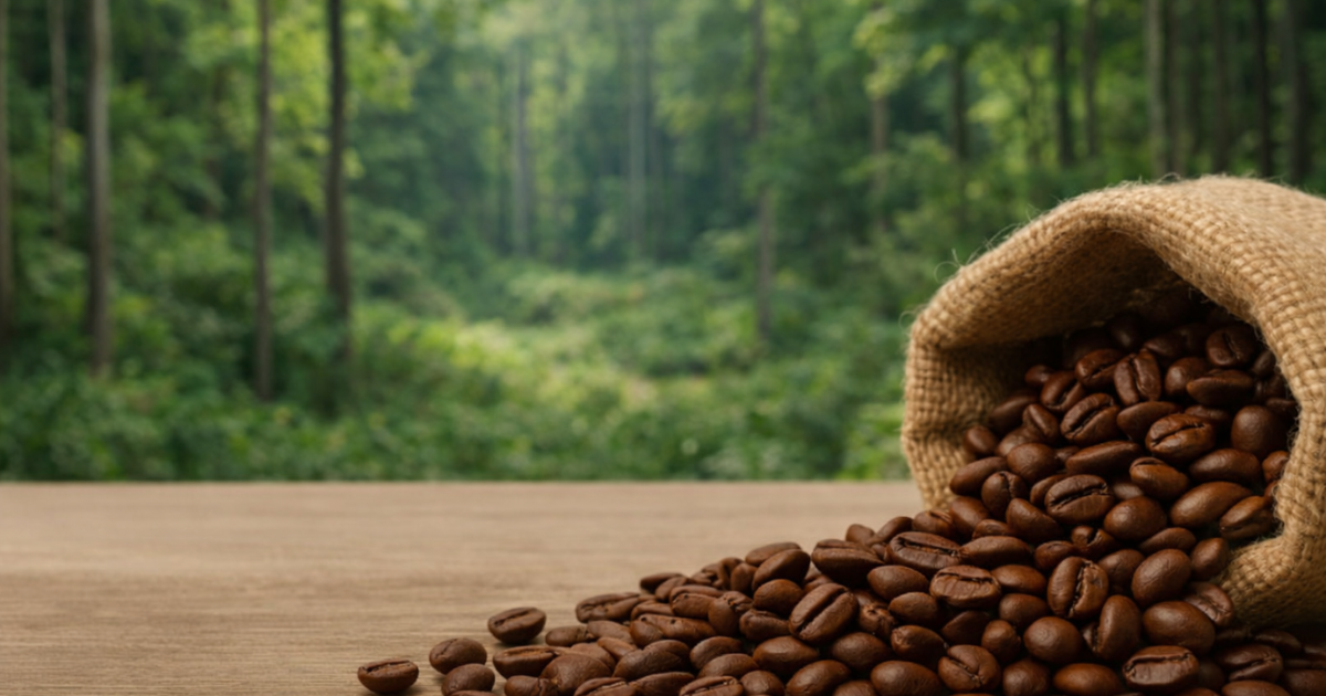 Warum die Kaffeepreise durch die EU-Entwaldungsverordnung steigen